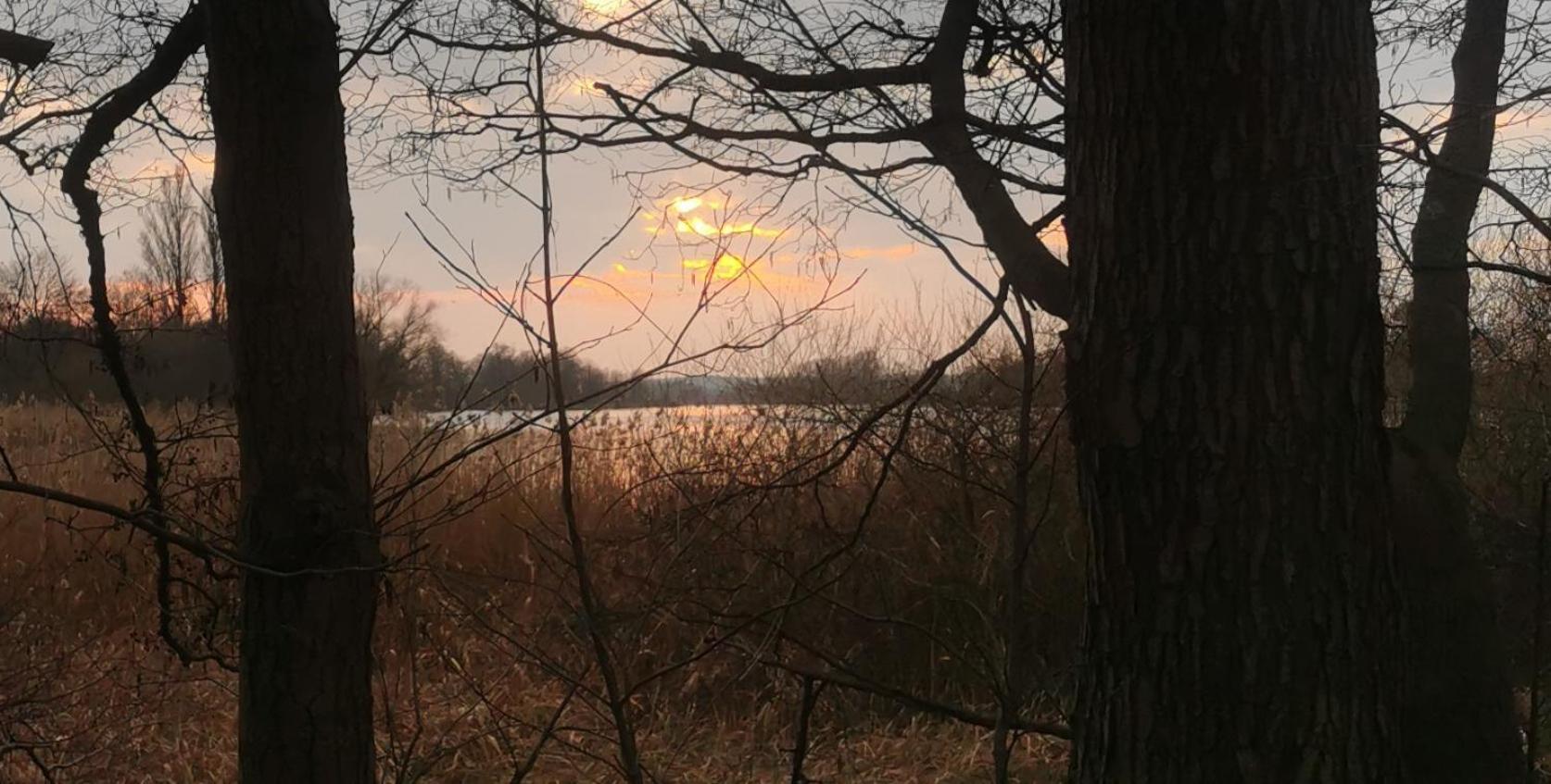 Landhaus Arcadia In Paretz Ketzin Zewnętrze zdjęcie